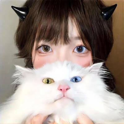 灵狼传奇